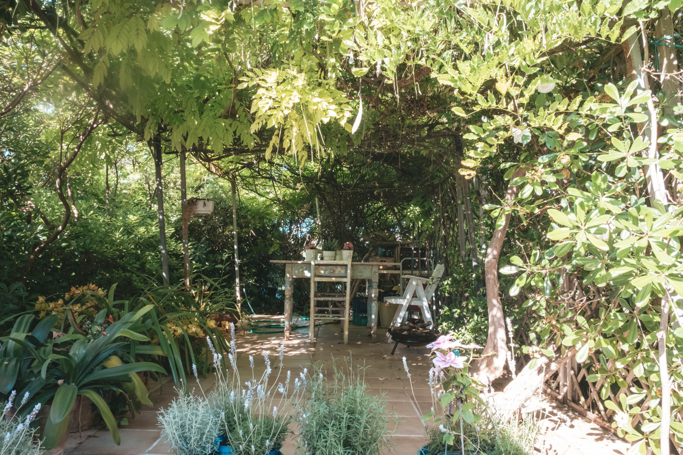 Tavolo e sedie sotto gli alberi del giardino